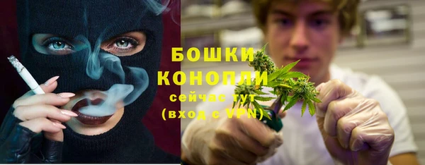 СК Абинск