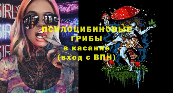 прущие крисы Абаза