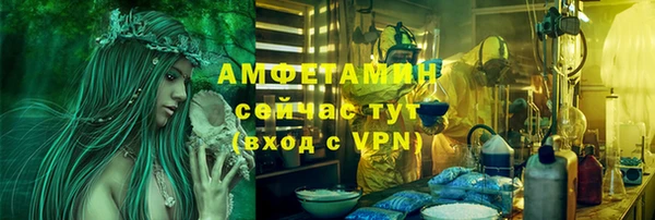 метадон Алексин