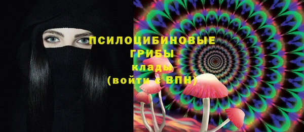 гидра Няндома