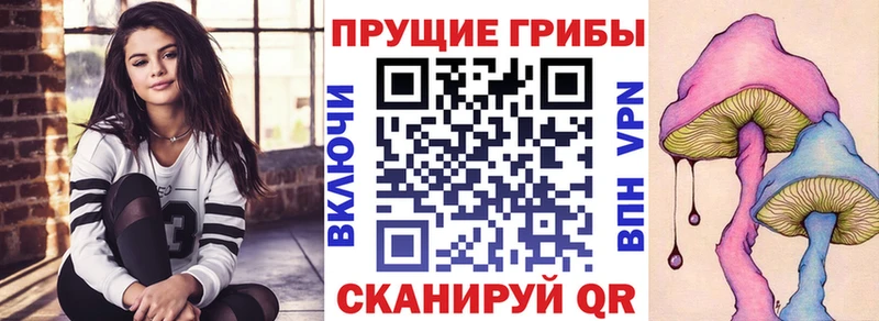 купить наркотик  Ковров  Галлюциногенные грибы Psilocybine cubensis 