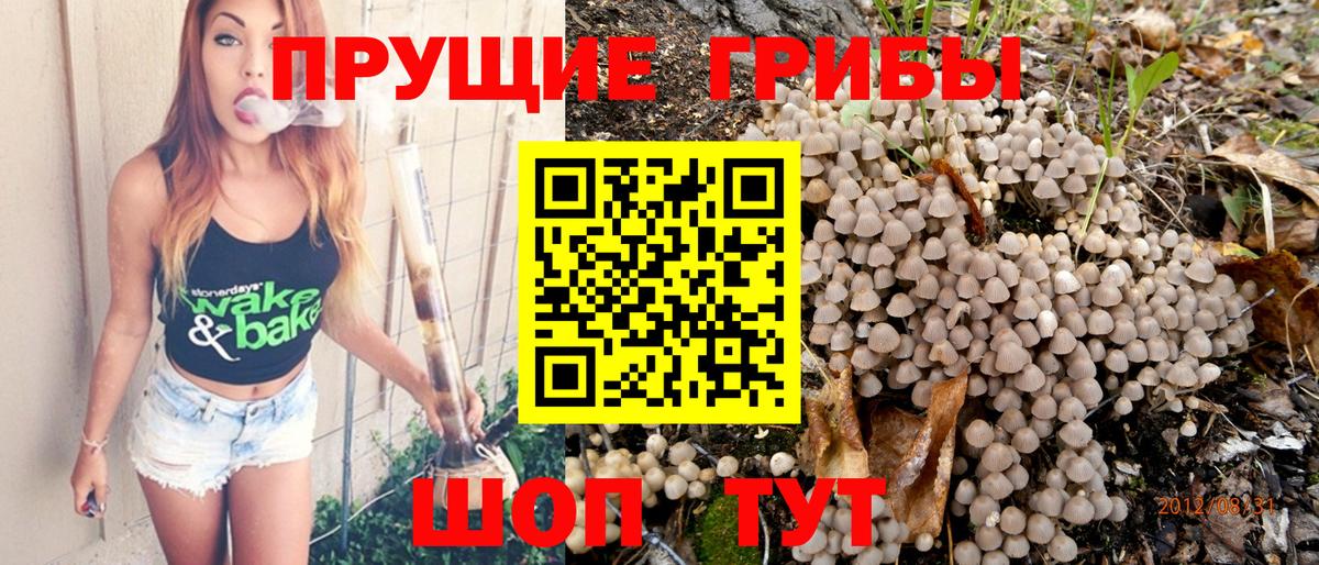 Псилоцибиновые грибы мухоморы Ковров